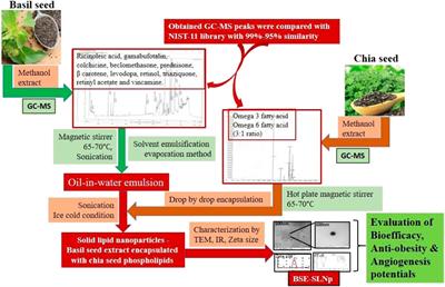 Frontiers Evaluation of Biosafety Antiobesity and Endothelial